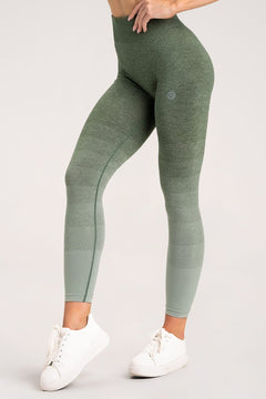 Tajice khaki ombre